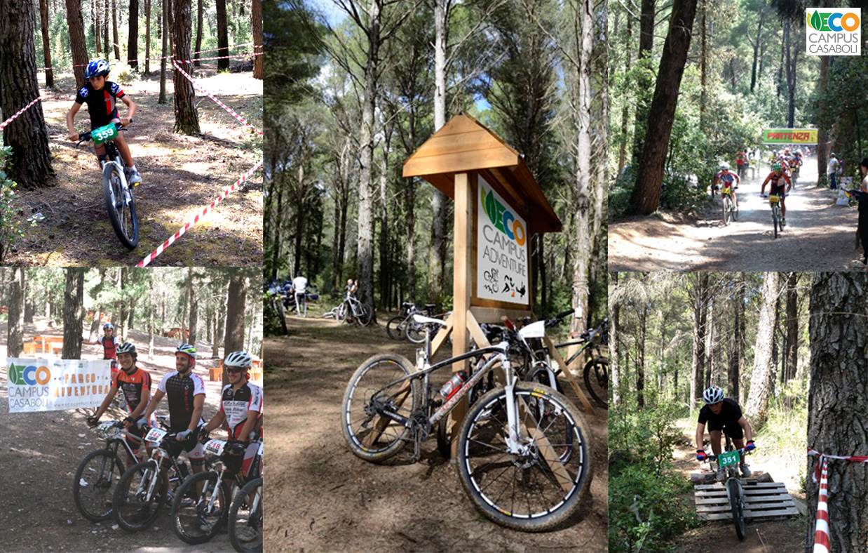 Bike Park e Mountain Bike