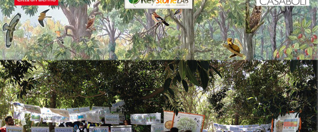 Manifestazione Biodiversità alla favorita di Palermo