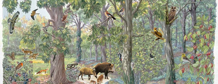 Progetto Biodiversità