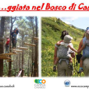 fasceggiata nel bosco di Casaboli