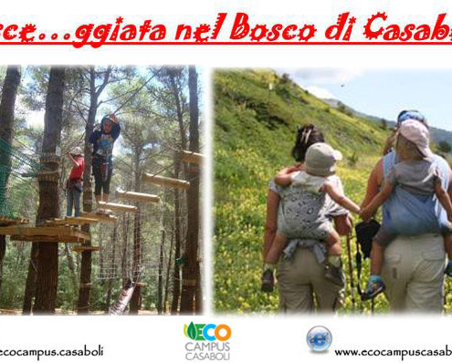 fasceggiata nel bosco di Casaboli